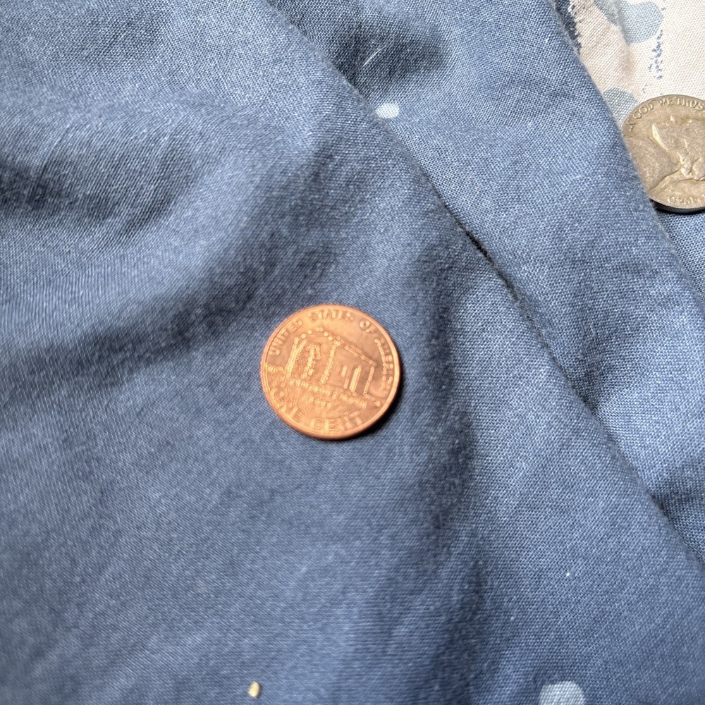2009 D Penny. Log Cabin.