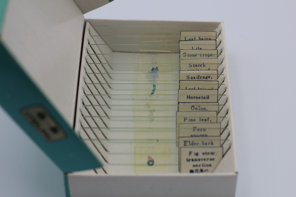 Vintage prepared microscope slides - plants