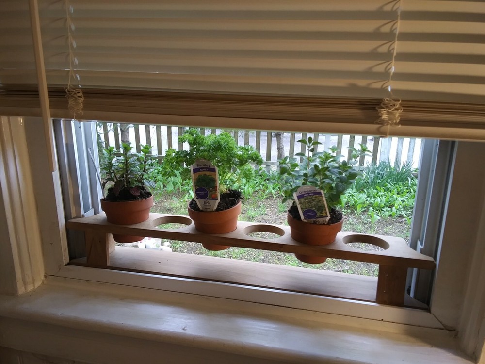 Kitchen Windowsill Herb Garden Box