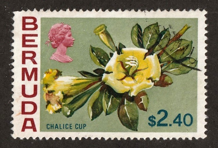 Bermuda      271         used