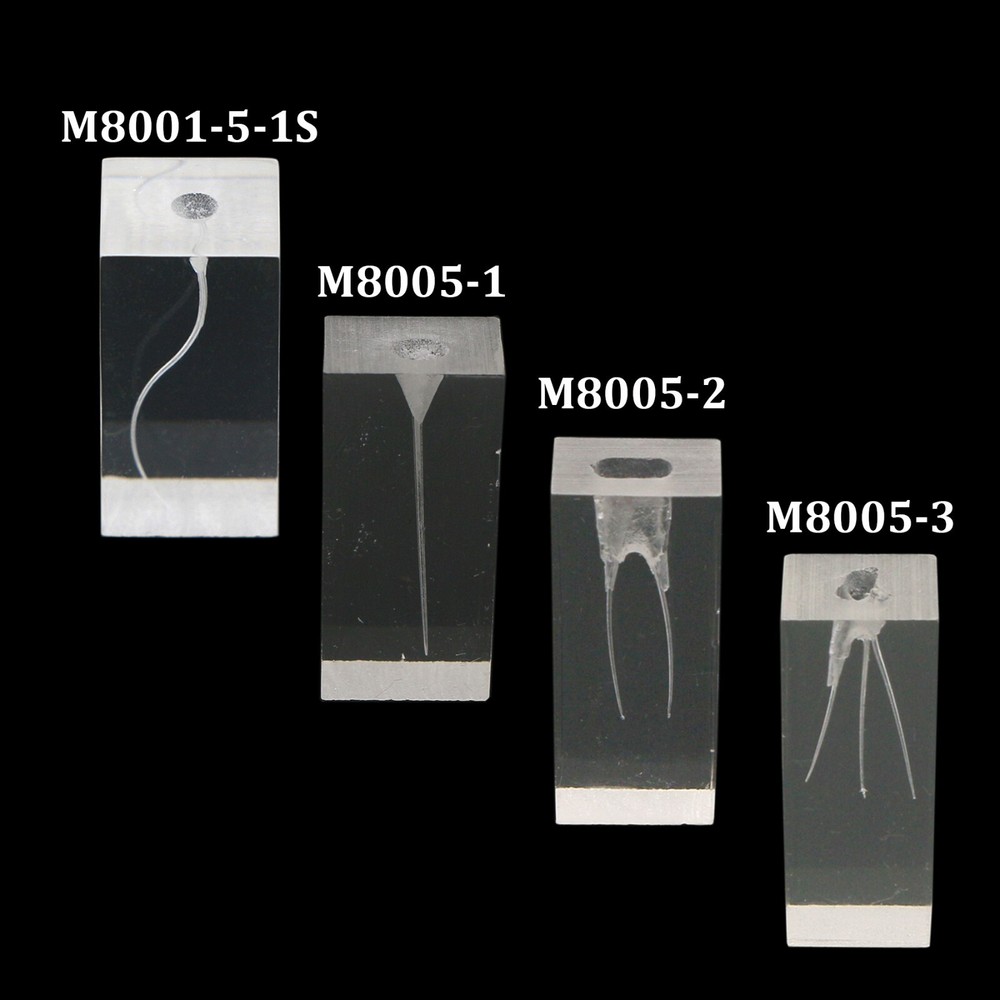 Dental Typodont Root Canal Practice Endodontic Training Block Teeth Model M8005