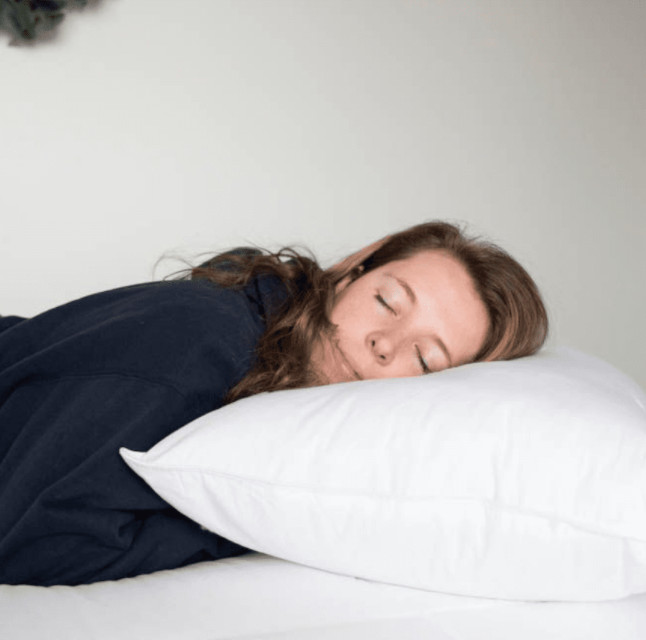 Pillowtex Firm Premium Polyester Pillow