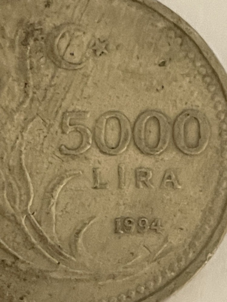 1994 Turkey 5000 Lira Coin