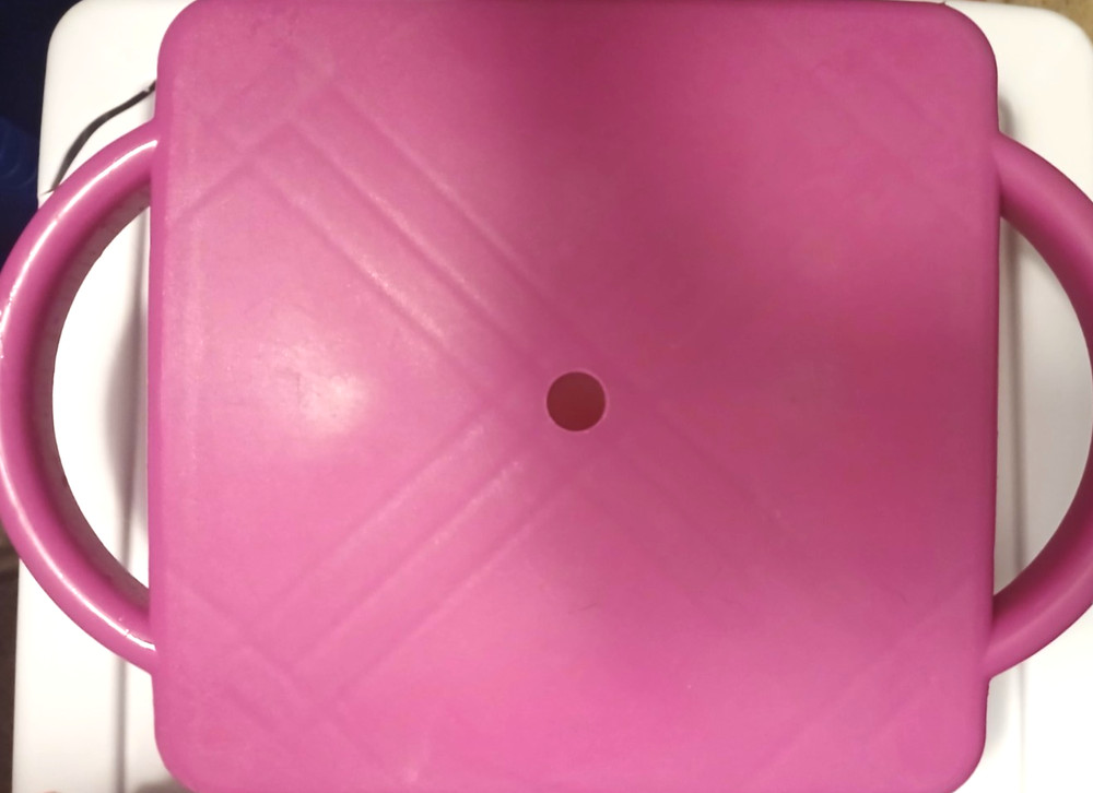 Kids Scooter Board Pink With Handles