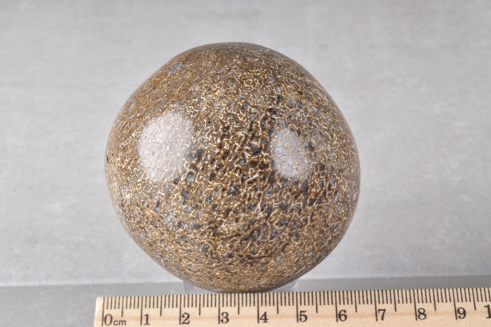 Dinosaur Bone Sphere from Morocco 6.8 cm # 21482