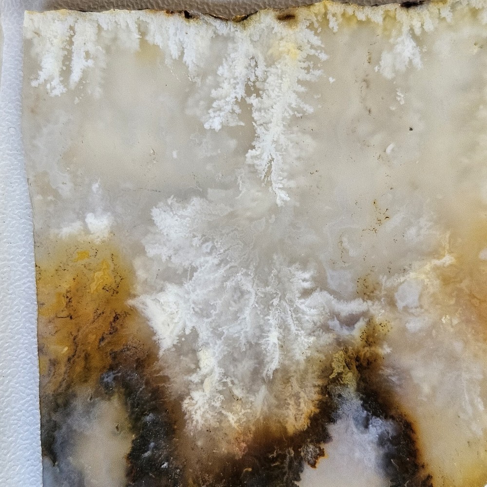 Nice Graveyard Plume Agate Lapidary Slabs 76 Grams