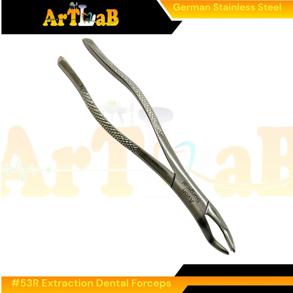 Right Upper First & Second Molar Extraction Forceps #53R, Serrated, 1pc