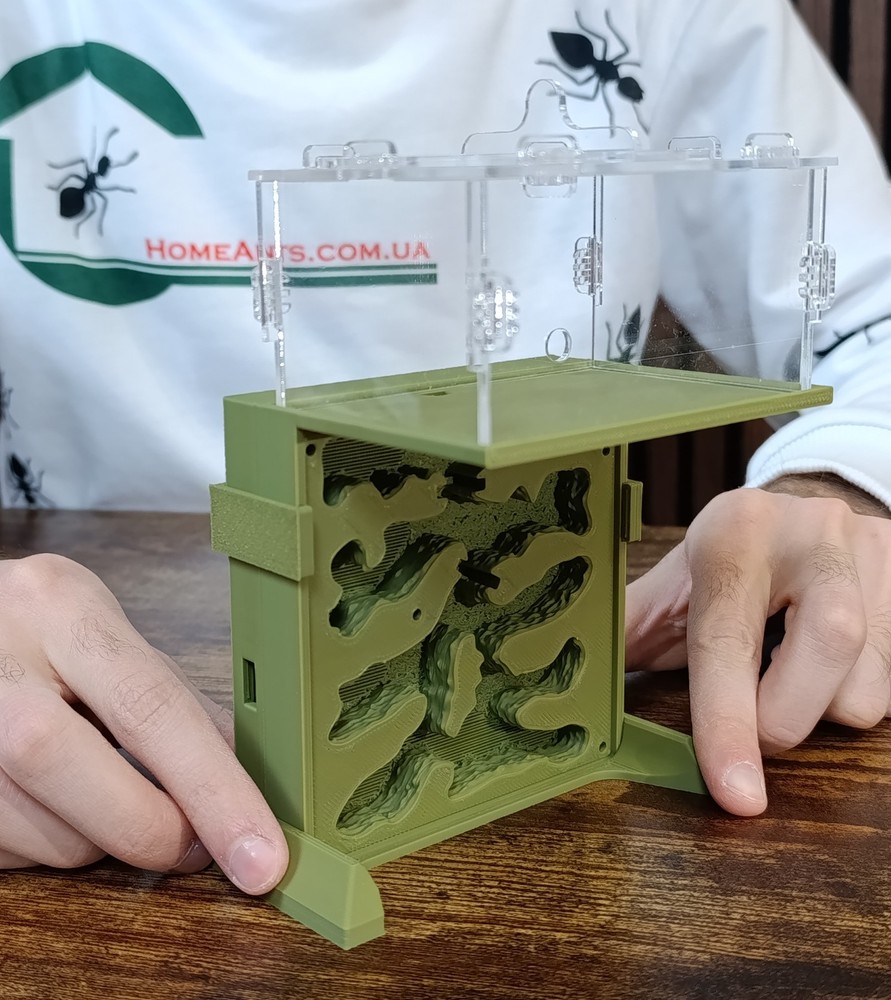 Ant farm "Hill" Vertical formicarium Anthill, ant nest