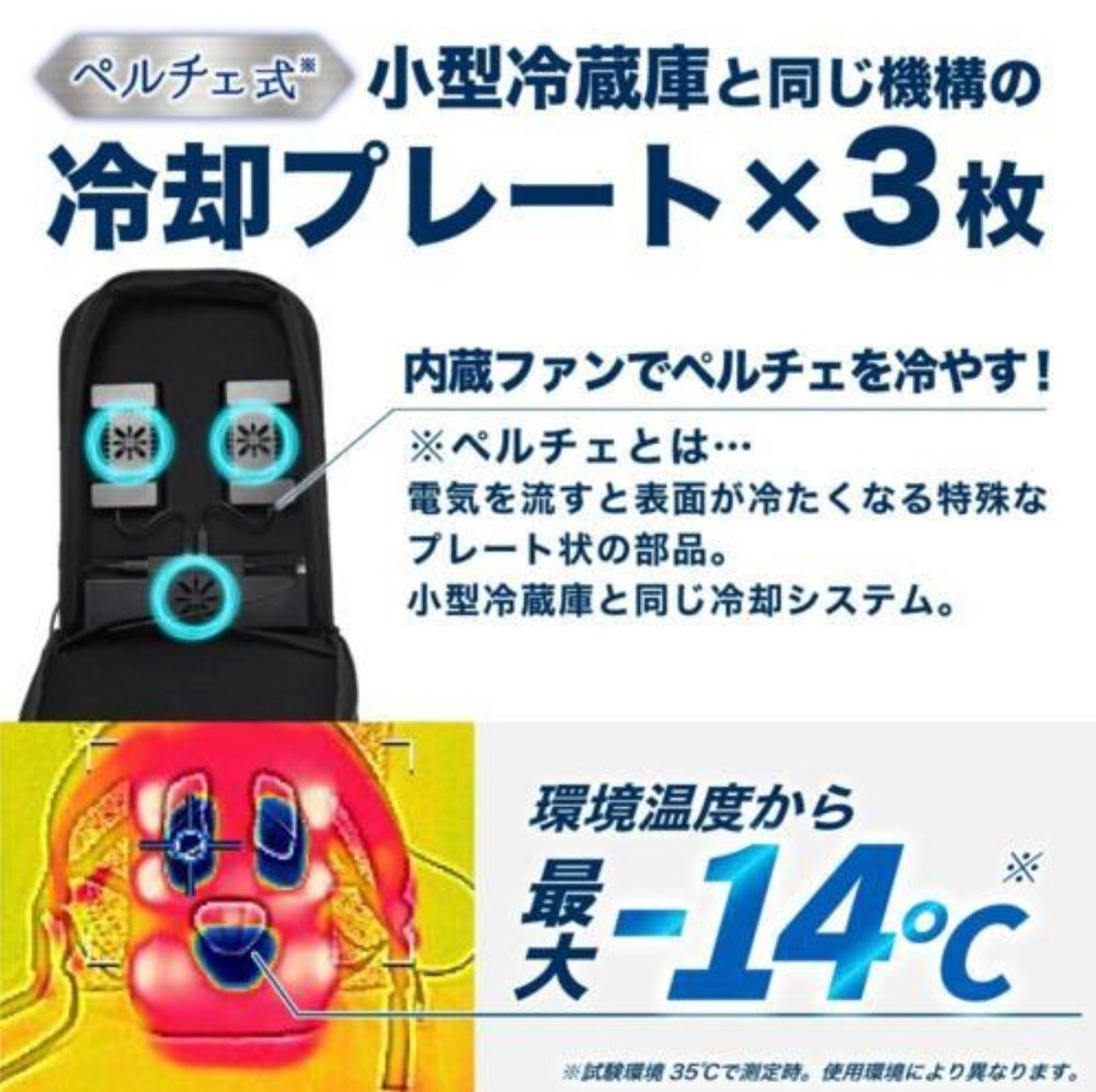 Sanko Peltier Cooling Backpack Cooler Japan