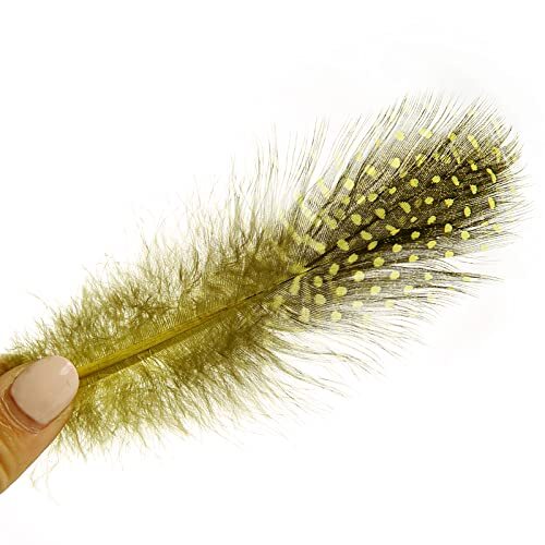 Spotted Feathers 120pcs 2-3inch Small Natural Bulk Guinea Pheasant Feather