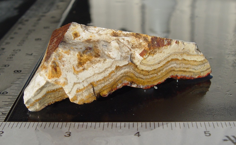 Lace Agate Small Lapidary Rough 1476