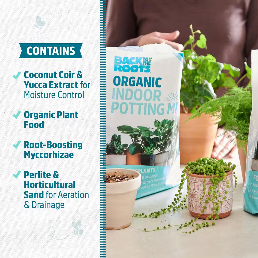 6 Qt. Organic Indoor Potting Mix Soil (2-Pack)