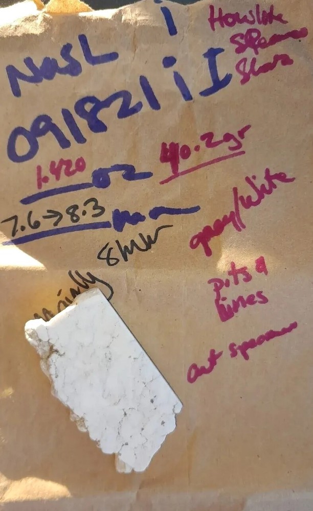 White Howlite Specimen type Slab - 40.2 Gms - Spiderweb - Black - gray - White