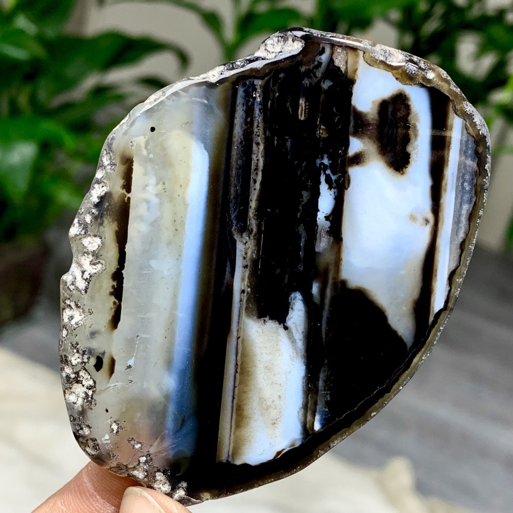 44G Natural Beautiful Agate Geode Druzy Slice Extra Large Gemstone