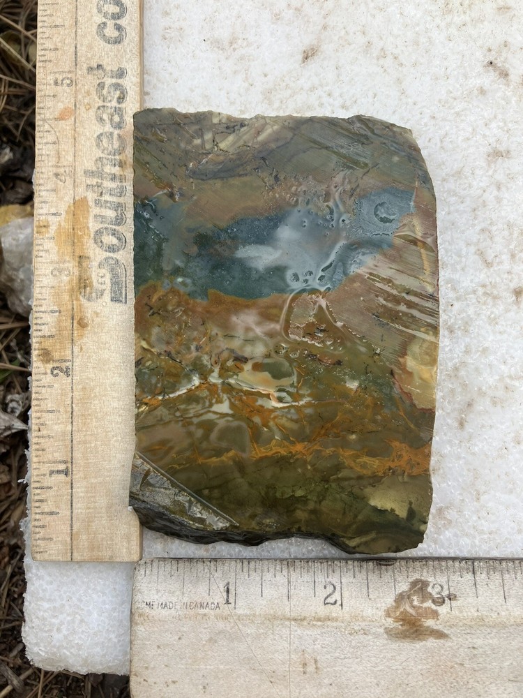 Oregon Jasper Slab