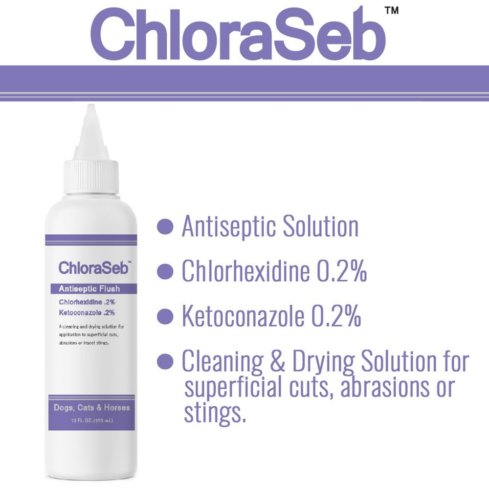 ChloraSeb Antiseptic Flush (12 fl oz)