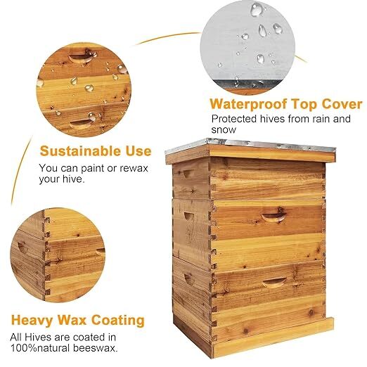 3 Layer Beekeeping Starter Hive Kit 2 Deep 1 Medium