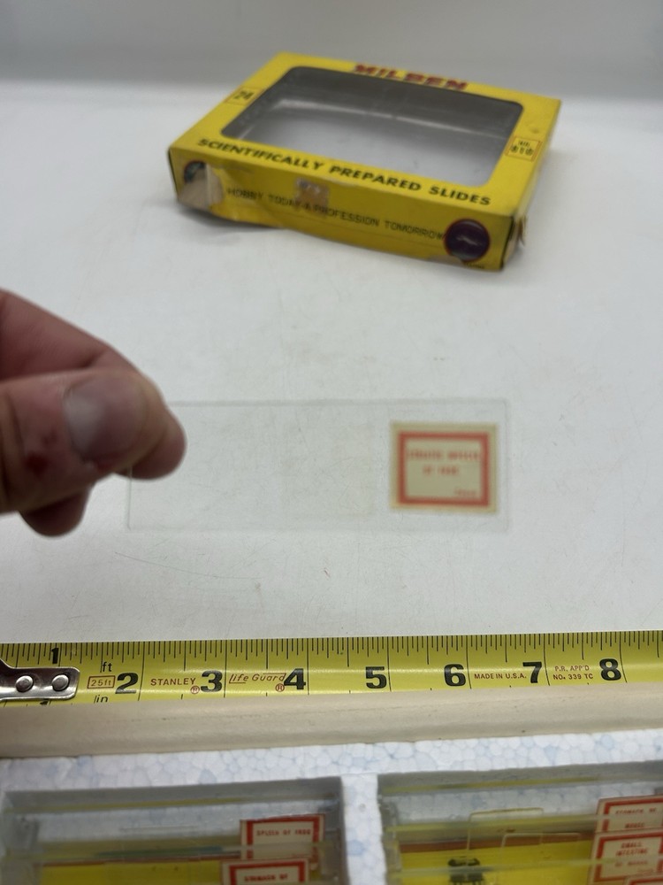 Milben 12 Microscope Slides Set No 810