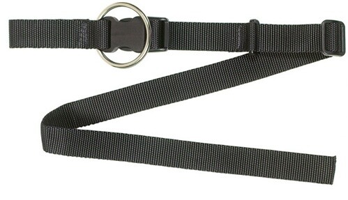 Hollis Crotch Strap with Scoot Ring 1in Webbing
