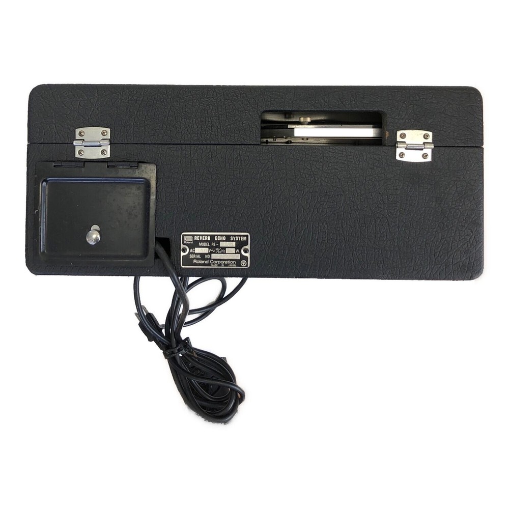 Roland RE-101 Space Echo