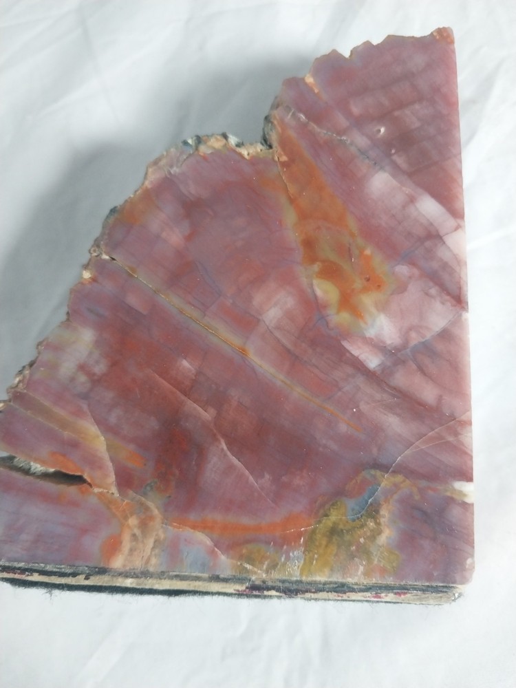 Fossilized Wood Chunk, Petrified Wood