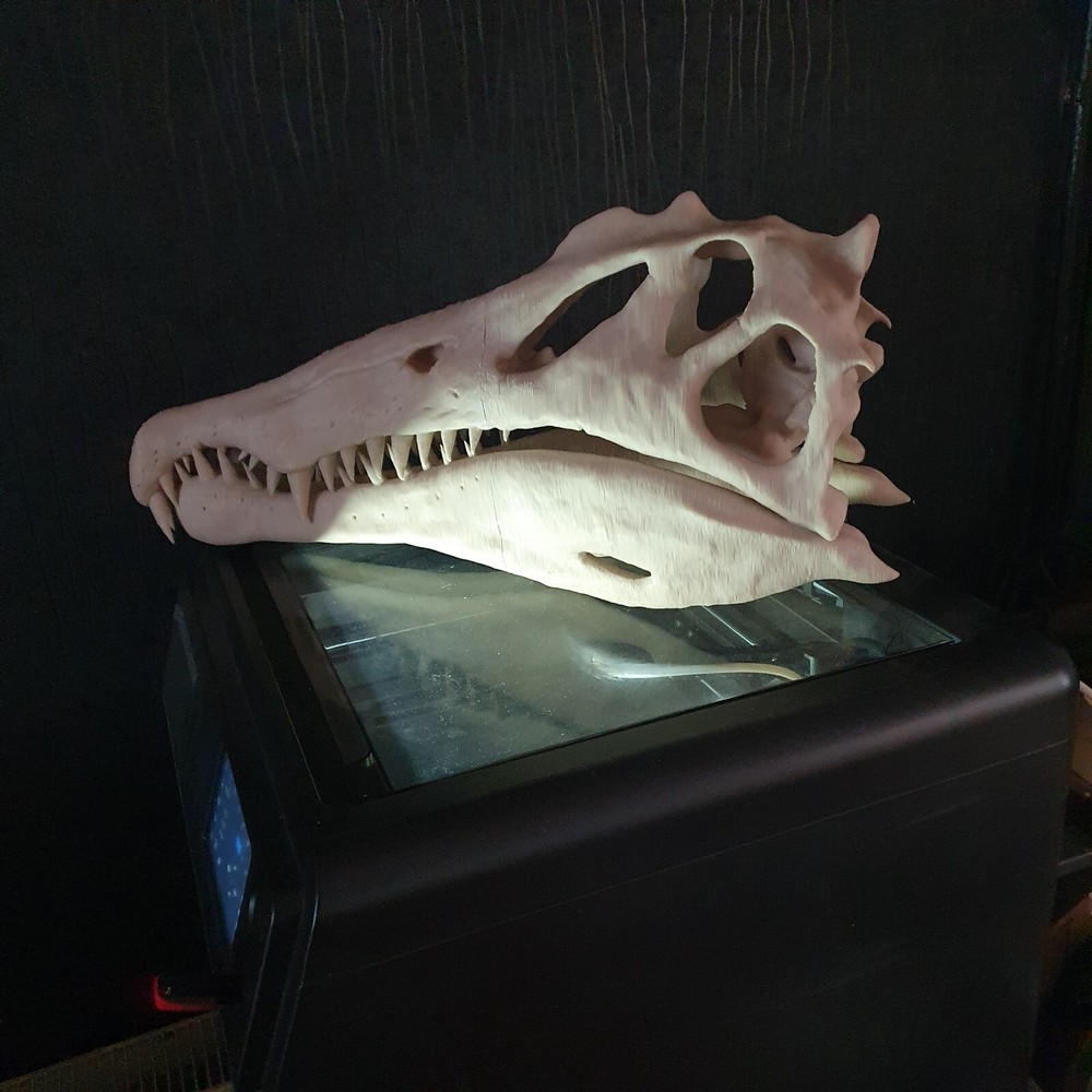 Spinosaurus Dinosaur Large Replica Skull