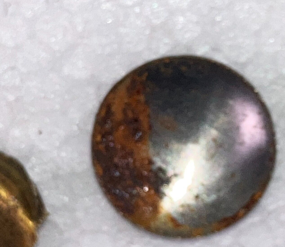 8 Antique Solid Brass Shell Drawer Door Pull Knob Handle Cupboard Screw 2 cm