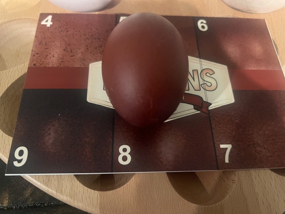🐣🤍12++ QUALITY Black Copper Marans(BCM)hatching eggs NOT hatchery sourced🤍🐣
