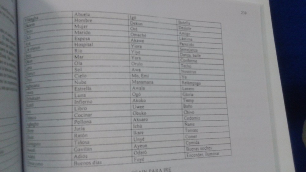 Libro DICE IFA Religion Yoruba Ifa