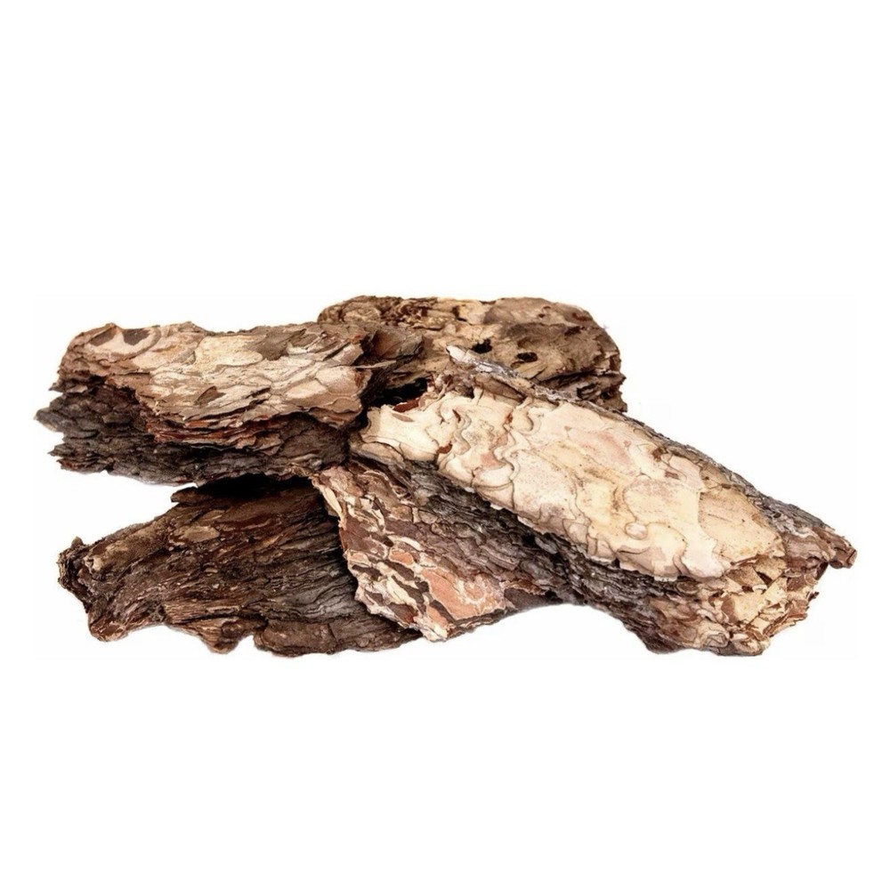 Galapagos Terrarium Starter Kit, Arid