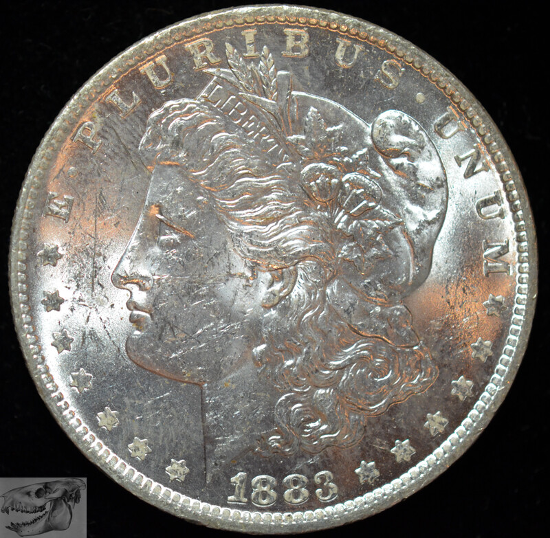 1883 O Morgan Silver Dollar, Brilliant Uncirculated, Bright White, C6112
