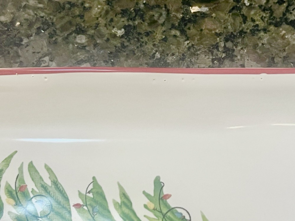 NEW Pottery Barn Forest Gnome Stoneware Cookie Serving Platter, Holiday, #2