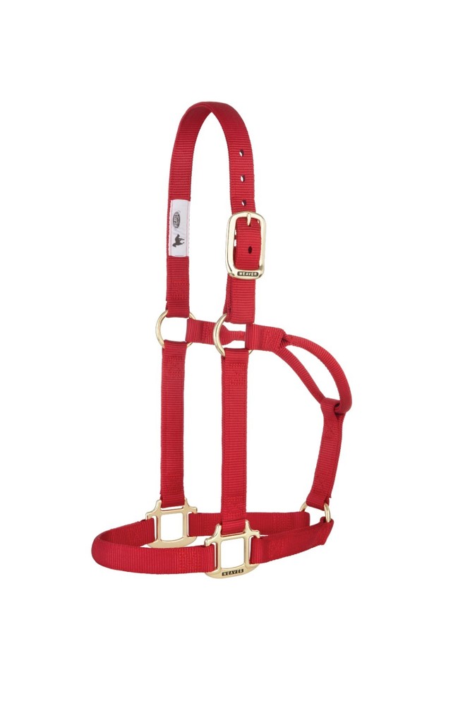 Original Non-Adjustable Halter , 1"  Red