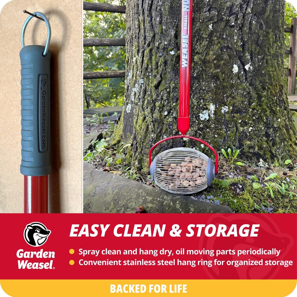 Nut Gatherer - Small Cage | Pick Up Small Acorns, Buckeyes, Beech Nuts | Nut ...