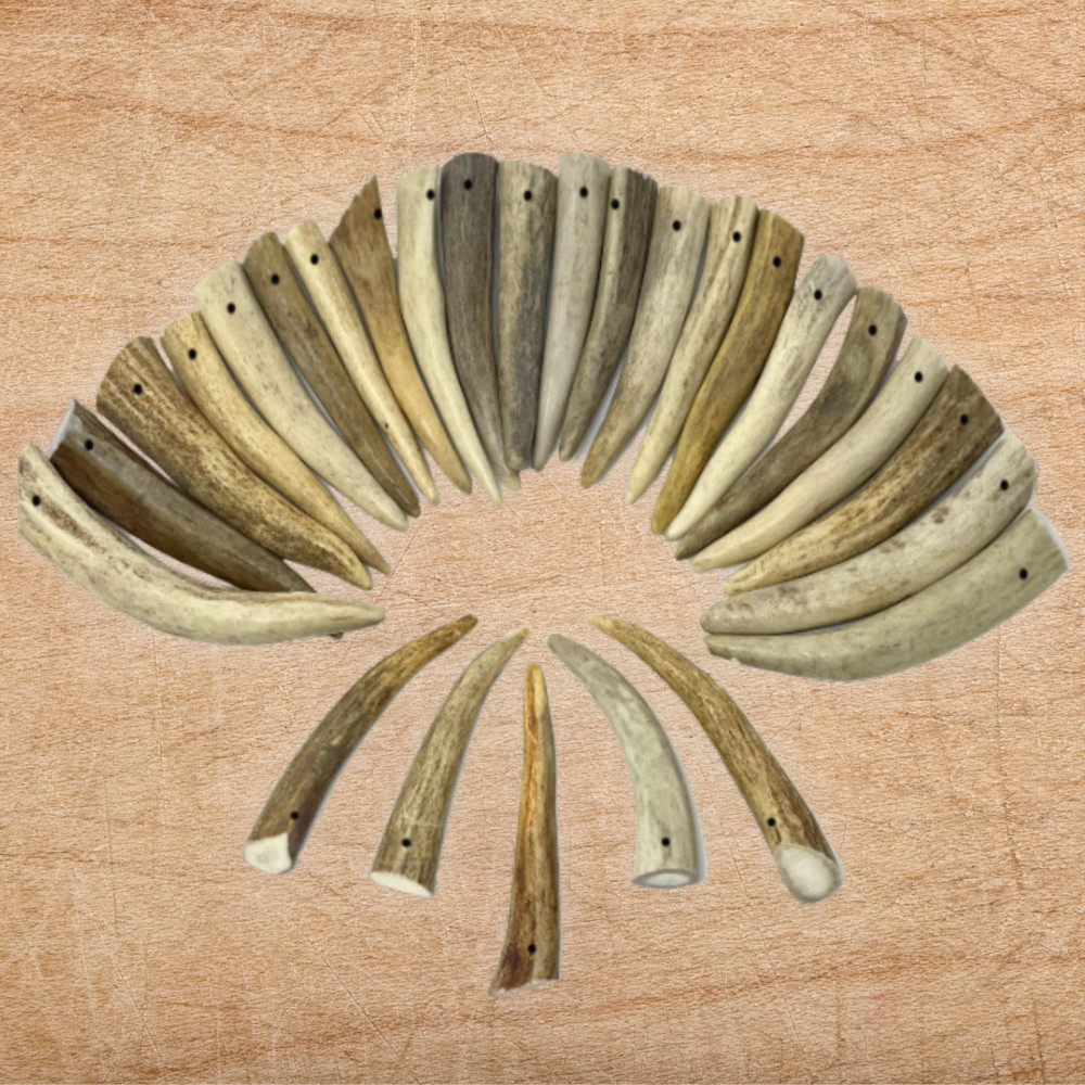 12 Pack - DRILLED HOLE Deer Antler Pendants-Tips-Points - Medium 2" to 3"