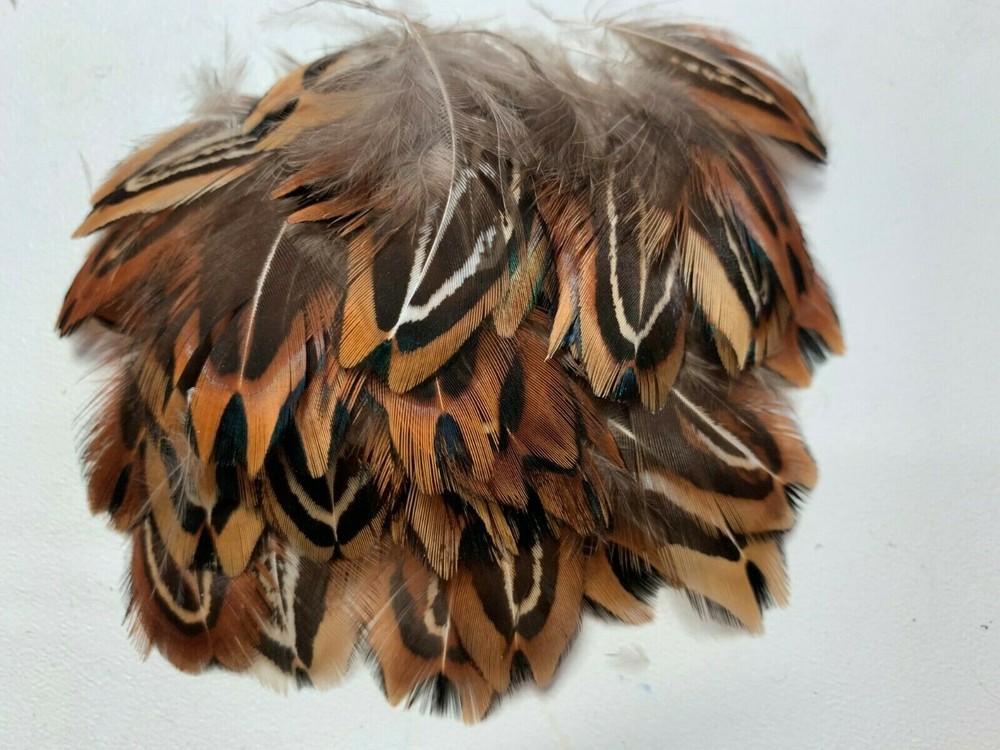 50pcs Natural 3-4cm Real Pheasant Plumage Feathers DIY Craft Boho Bulk Macrame