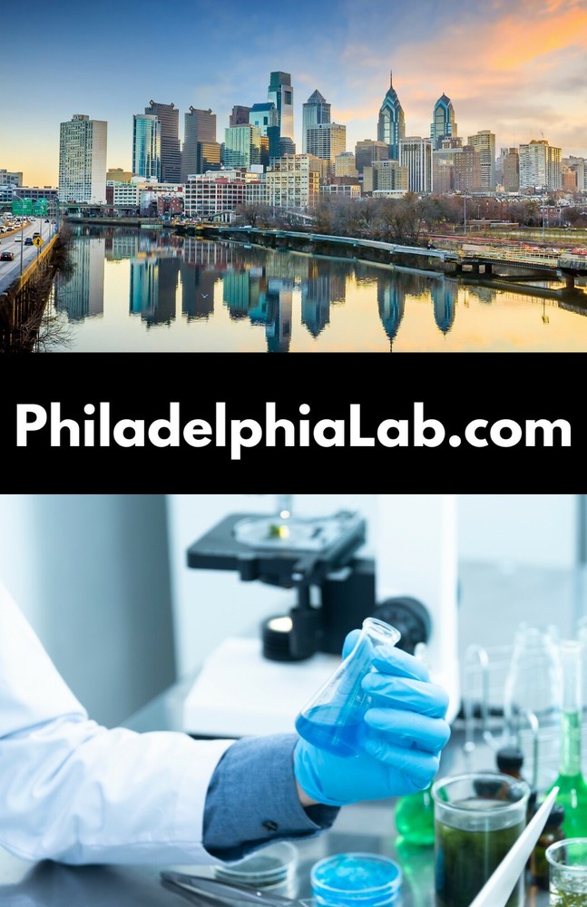 Domain Name - PhiladelphiaLab.com