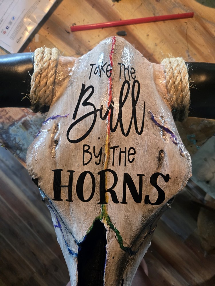 Authentic Cow Skull
