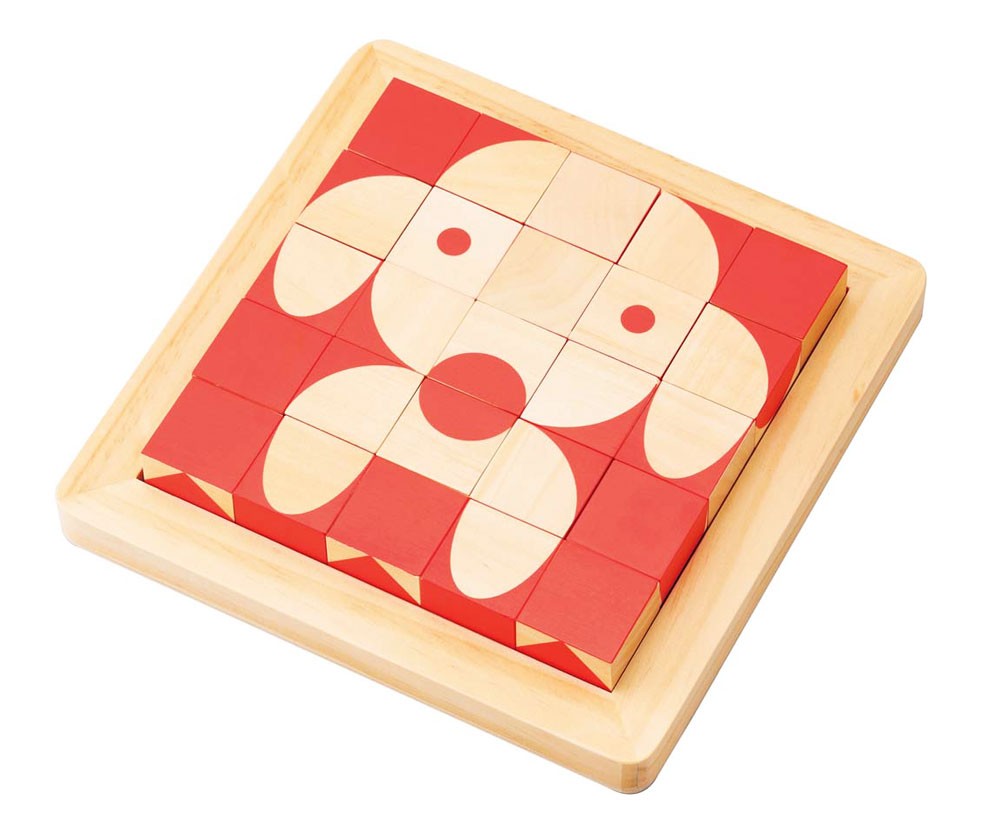 Brain Training Cube