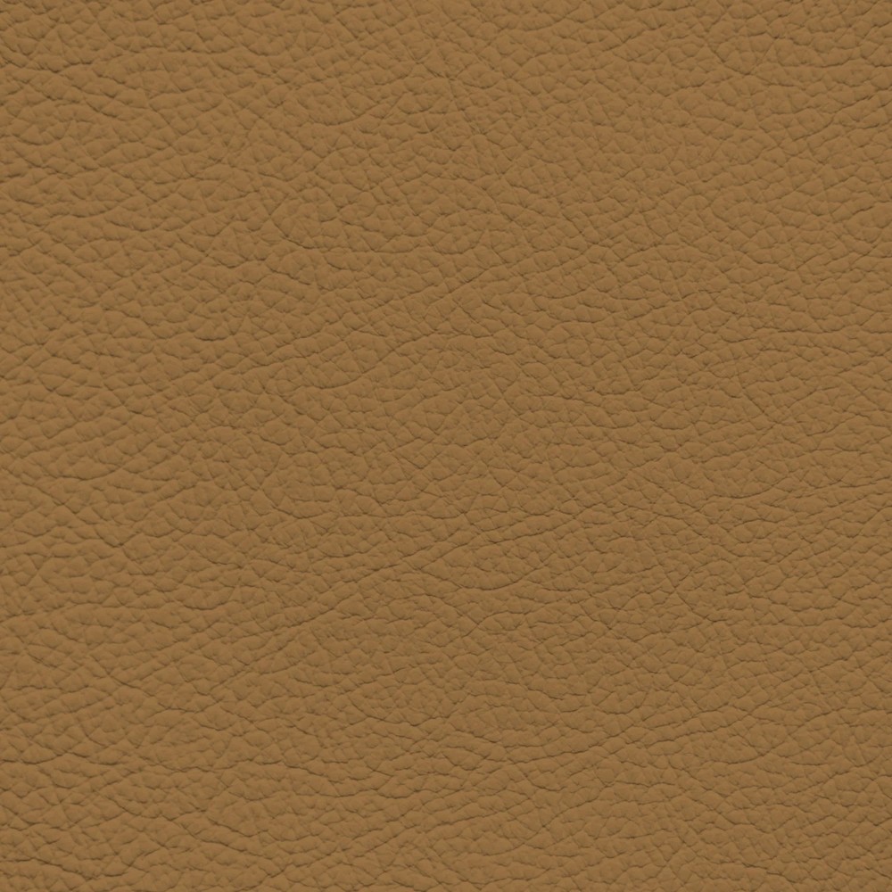 Acura/Honda Camel Leather Dye