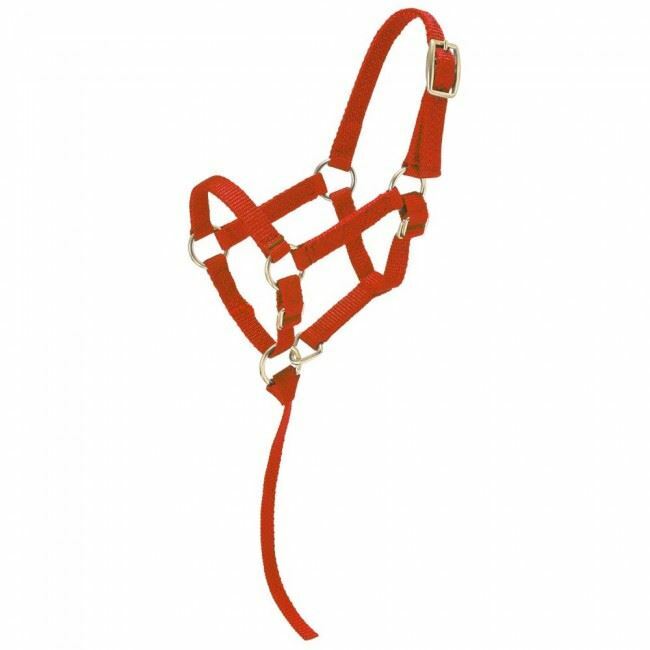 Tough1 Miniature Nylon Halter