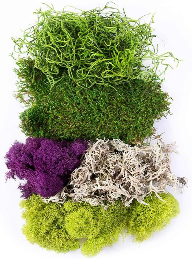 (23317) Moss Mix, Mixed, 120 Cubic"
