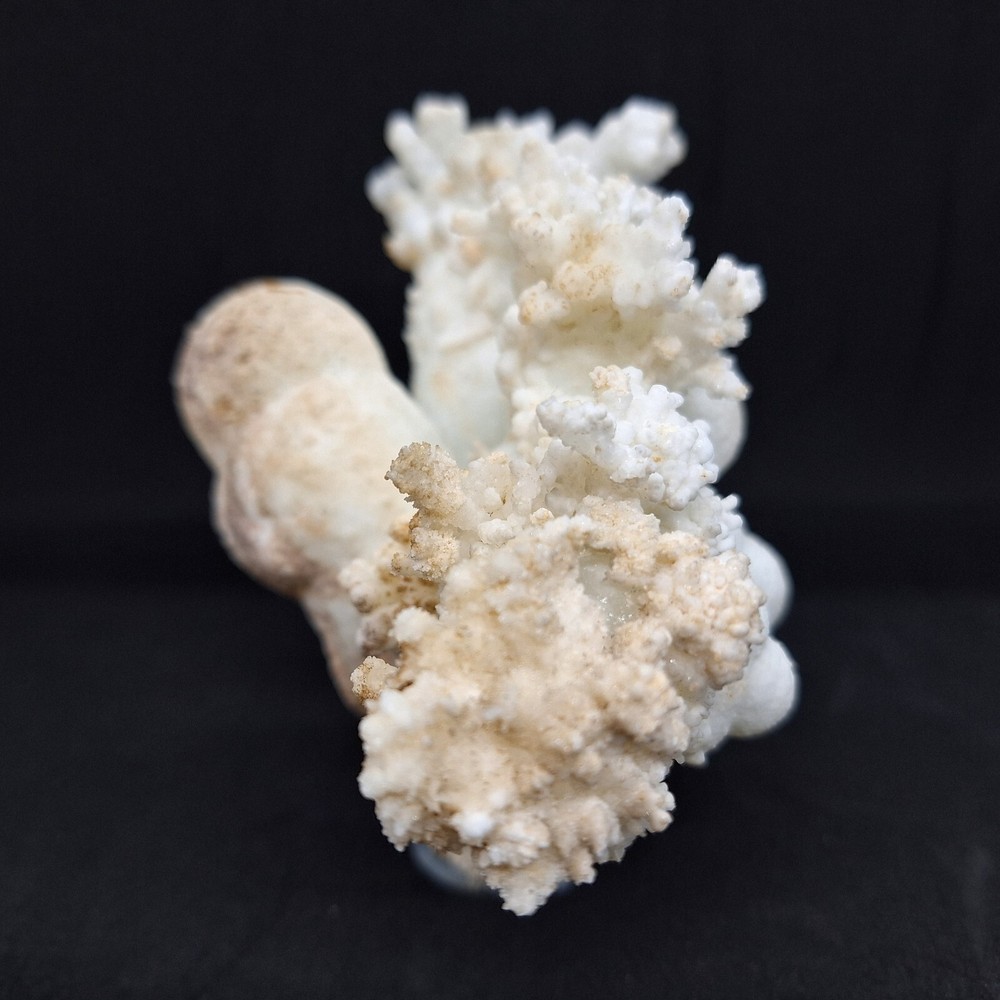 Aragonite