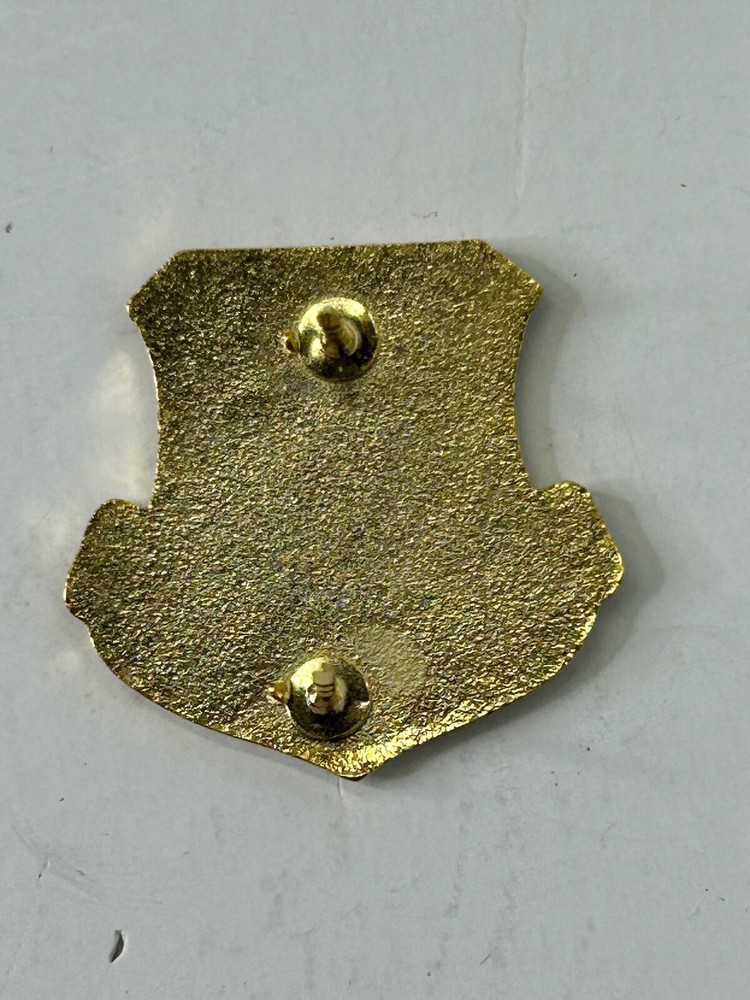 USAF Air Intelligence Agency Pin