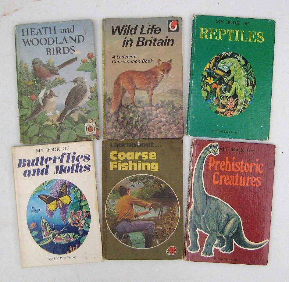 Vintage Ladybird Books Bundle x 24