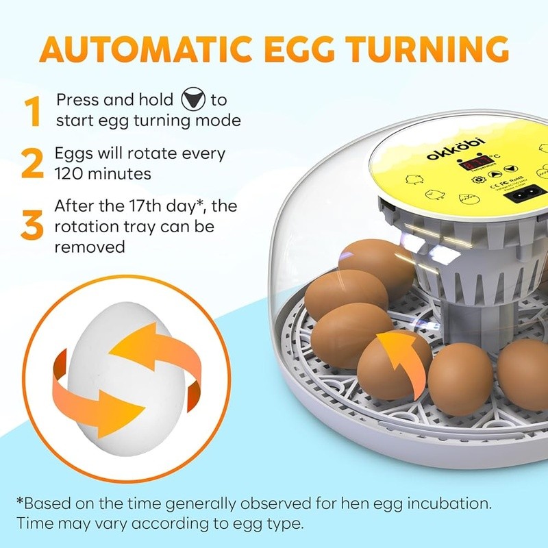 Automatic Chicken Egg Incubator Temperature Control Humidity 12-24 Eggs New