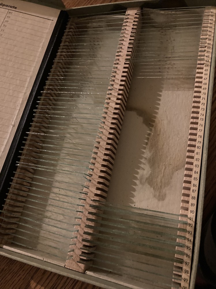 Vintage MICROSCOPE SLIDE SET MOUNTS CROSS SEC German