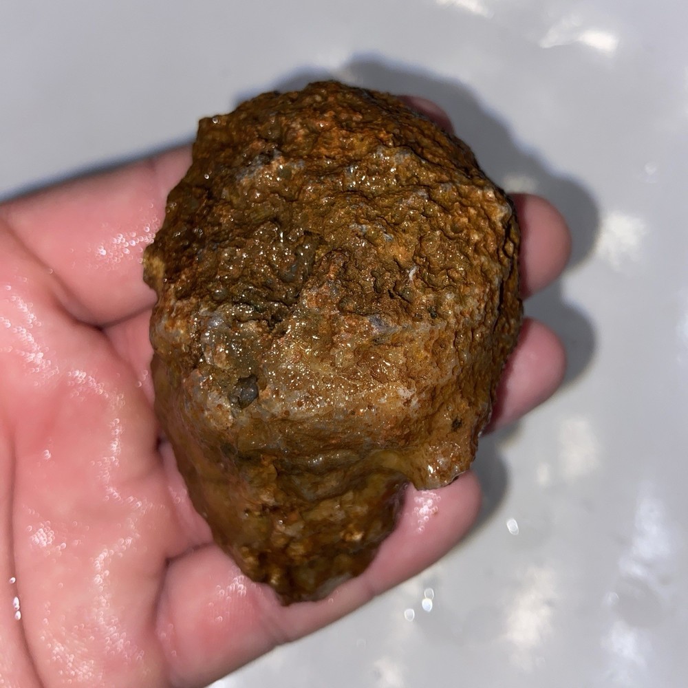 Unique Wispy Banded Agate Lapidary Rough 5.84 Oz