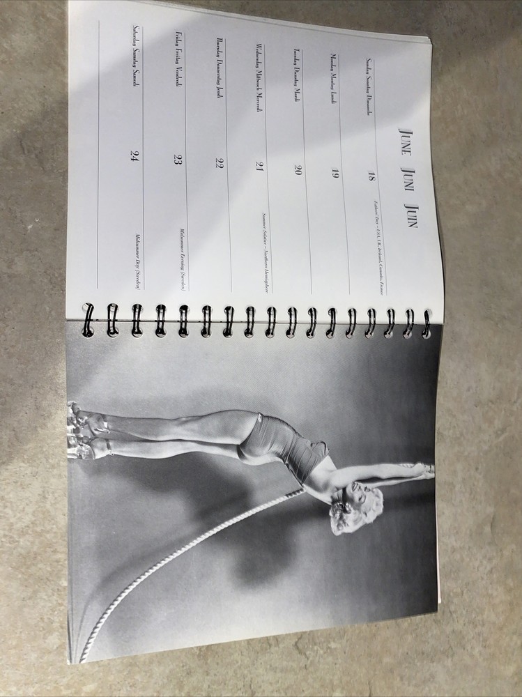 Marilyn Monroe 1995 Datebook