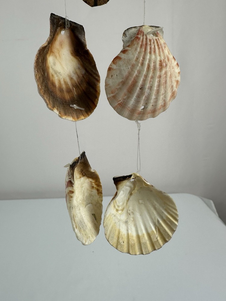 Handcrafted Bird Sea Shell Wind Chime